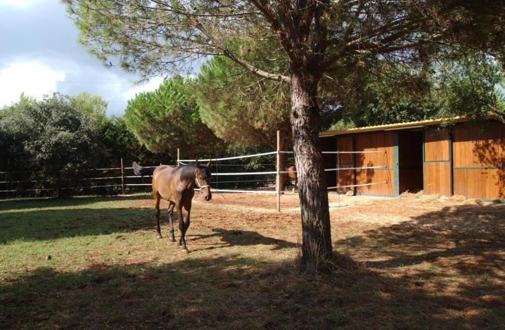 Tenuta Don Monaco - Agriturismo Санта-Чезареа-Терме Экстерьер фото